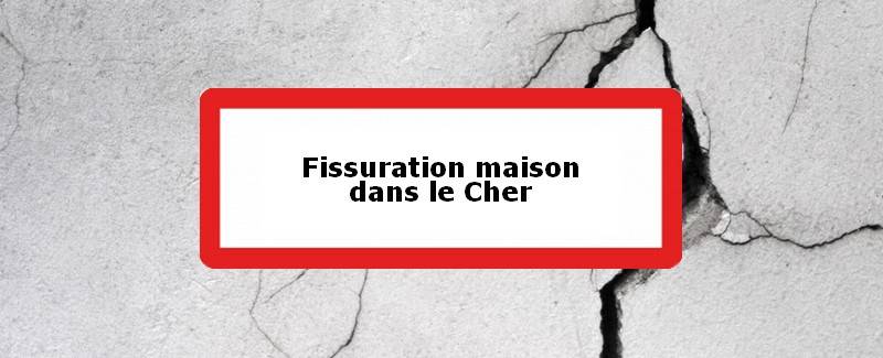 Fissuration maison Cher (18)