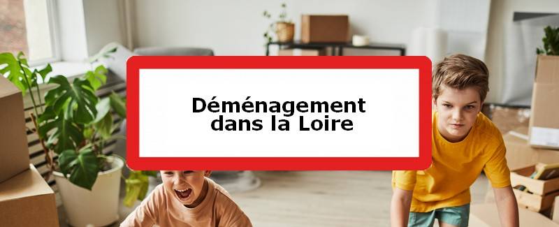 Déménagement maison Loire (42)