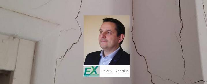 Edieux Expertise
