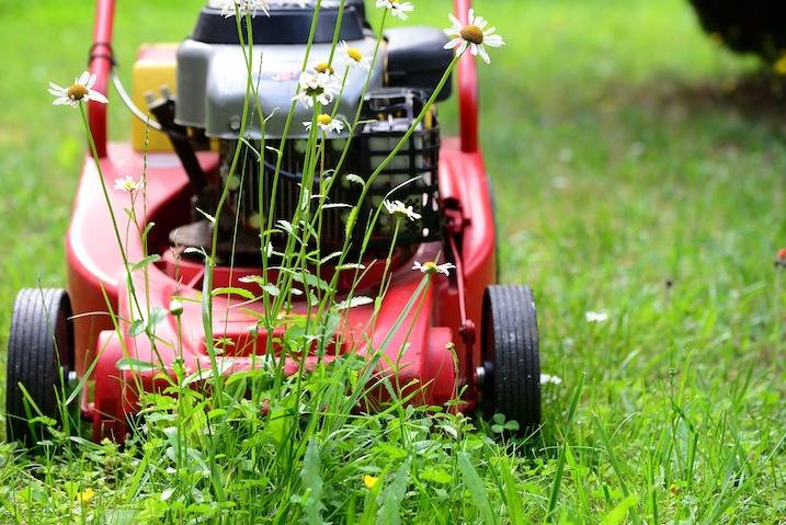 Entretien des espaces verts - Koudepouce Maison