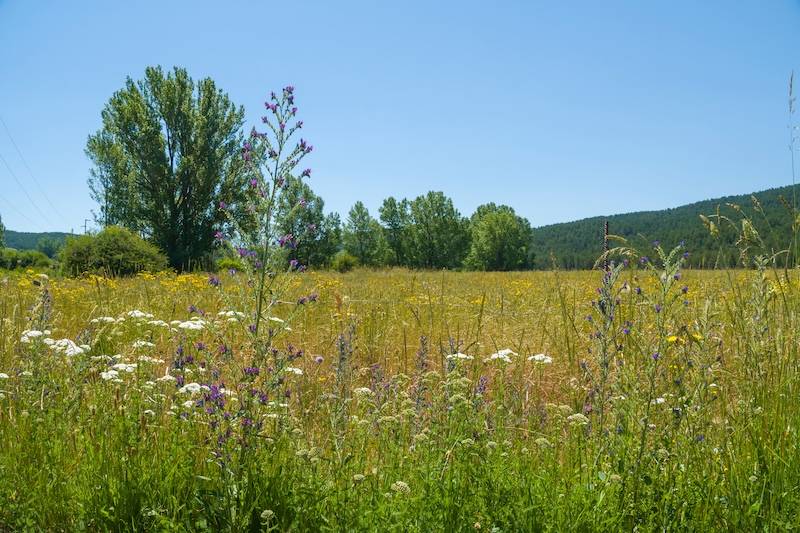 Cat-Nat Sécheresse 16 octobre 2025