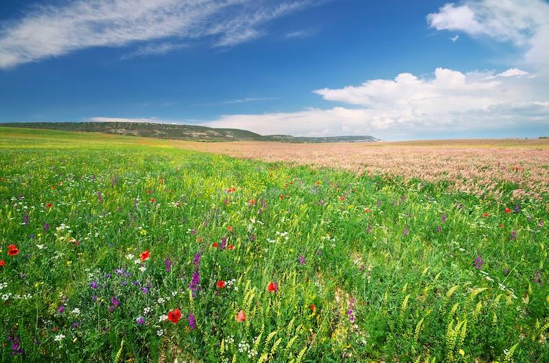 Cat-Nat Sécheresse 12 décembre 2025